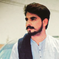 Ali Jawad Tareen-Freelancer in muzaffer garh,Pakistan