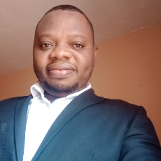 Omeje Ndubuisi Stephen-Freelancer in ASABA,Nigeria