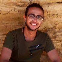 Mohamed Mahmoud-Freelancer in ,Egypt