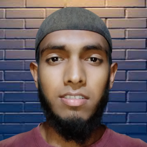 Md Robiul Islam-Freelancer in Gaibandha,Bangladesh