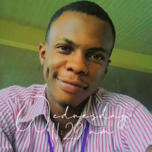 Eche Ben-Freelancer in Onitsha,Nigeria