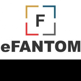 Efantom Group-Freelancer in Gandhinagar,India