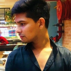 Vikas Kumar-Freelancer in Noida,India