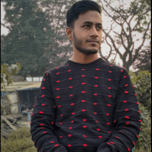 Mahdi Hasan Sahil-Freelancer in Mymensingh,Bangladesh