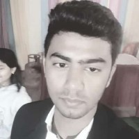 Pratik Singh Banafar-Freelancer in Janjgir-Champa,India