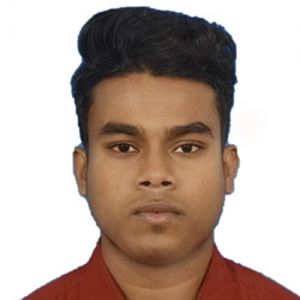 Rajesh Kumar Gupta-Freelancer in Bangalore,India