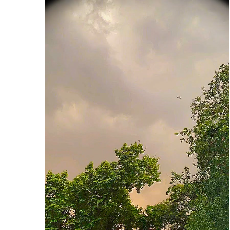 Saba F-Freelancer in Bengaluru,India