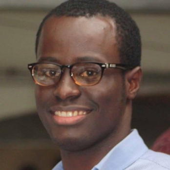 Oludotun Oyebolu-Freelancer in Lagos,Nigeria
