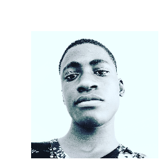 Edward Taiwo-Freelancer in MAGBORO,Nigeria