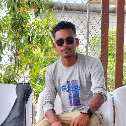 Palash Chandra-Freelancer in Dinajpur,Bangladesh