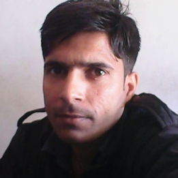 Bhupendra Kumar Gehlot-Freelancer in Delhi,India