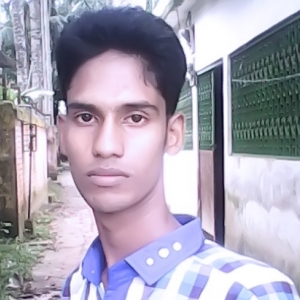 Arifull Islam Rafi-Freelancer in ,Bangladesh