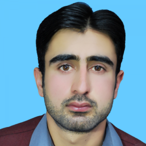 Syed Ali Gardazi-Freelancer in Bagh Azad Kashmir Pakistan,Pakistan