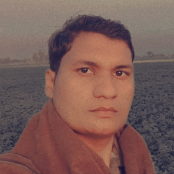 M Umar Saqib-Freelancer in Sahiwal, Punjab, Pakistan,Pakistan