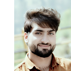 Syed Junaid-Freelancer in kupwara,India