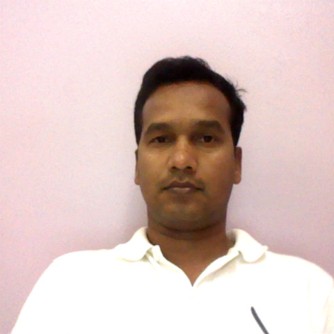 Narayan Sharmah-Freelancer in Delhi,India