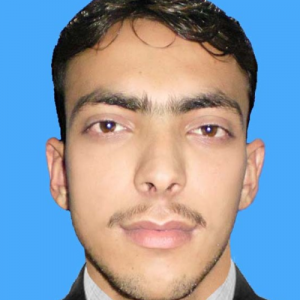 Basit Ali-Freelancer in Islamabad,Pakistan