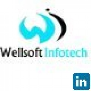 Wellsoft Infotech-Freelancer in Surat Area, India,India