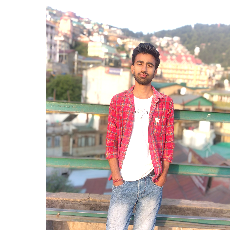Neeraj Sharma-Freelancer in Shimla,India