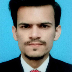 Muhammad Sohaib-Freelancer in Toba Tek Singh,Pakistan