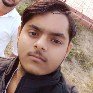 Sahil Soun-Freelancer in Agra,India
