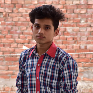 Aryan Gupta-Freelancer in Varanasi,India