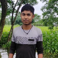 Sajid Ikbal-Freelancer in Kamrup,India