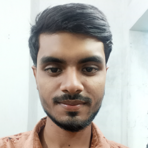 Aminur Rahman-Freelancer in Jessore,Bangladesh