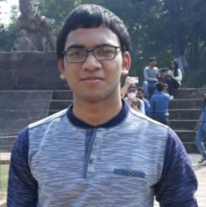 Srikrishik Jena-Freelancer in Bhubaneswar,India