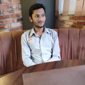 Dheeraj Kumar-Freelancer in Delhi,India