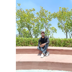 Bilal- Saifi-Freelancer in Panipat,India