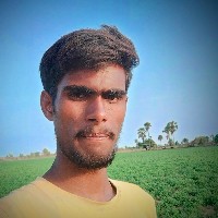 Venkatesh B.-Freelancer in Raichur,India