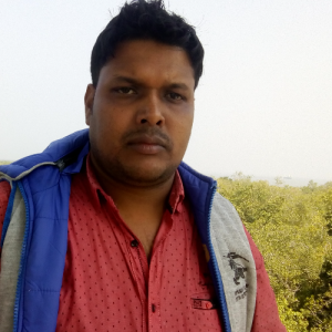 Dipankar Roy-Freelancer in Kolkata,India