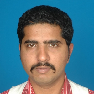 Dheeraj Narula-Freelancer in Udaipur,India