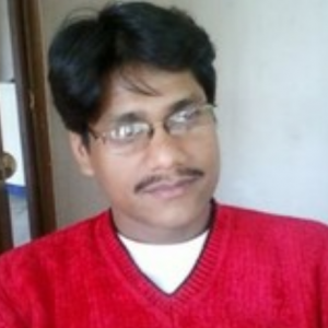 Biraj Roy-Freelancer in Kolkata,India