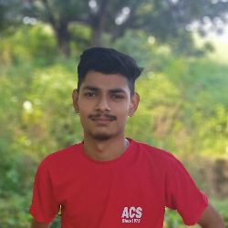 Anshul Sangar-Freelancer in Una,India