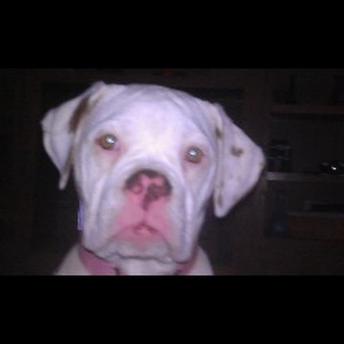 Jamie Cragle-Freelancer in ,USA