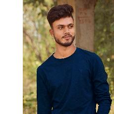 Akash Chauhan-Freelancer in Ranchi,India