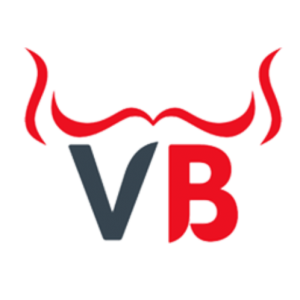 Viral Bulls-Freelancer in Delhi,India