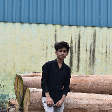 Ali Ansari-Freelancer in Khalilabad,India