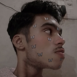 Chaitanya Krishna-Freelancer in Bareilly,India