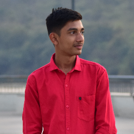 Prince Gamit-Freelancer in Dadra & Nagar Haveli,India