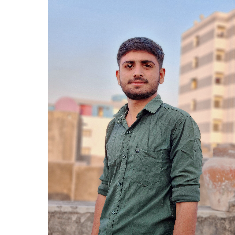 Bhavesh Katara-Freelancer in Gandhinagar,India
