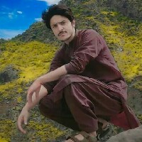 Tahir Khan-Freelancer in Peshawar,Pakistan