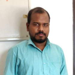 Kani Raja M-Freelancer in Theni,India