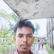 Rajib Mia-Freelancer in Mymensingh,Bangladesh