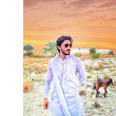 Sheikh Tasawar-Freelancer in Khushab,Pakistan