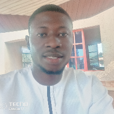 Adebayo Oyebukola-Freelancer in Lagos,Nigeria