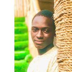 Hussaini Abdullahi-Freelancer in Rigasa Kaduna,Nigeria