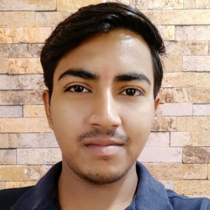 Pankaj Kumar Pal-Freelancer in Noida,India